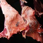 eat less meat to curb global warming eat less meat to curb global warming