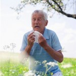 allergy due to global warming allergy due to global warming