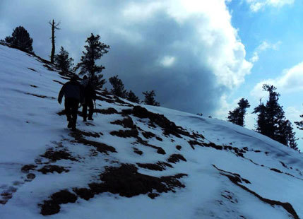 Fresh Western Disturbance brings snow and rain in Jammu and Kashmir