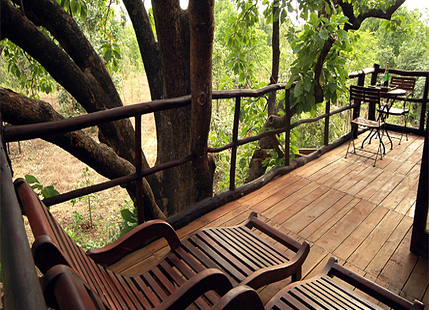 5 Winter Tree House Vacations in India
