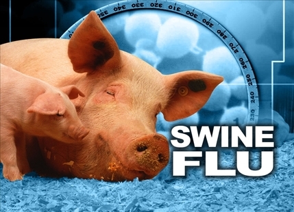 Swine Flu Makes a Comeback