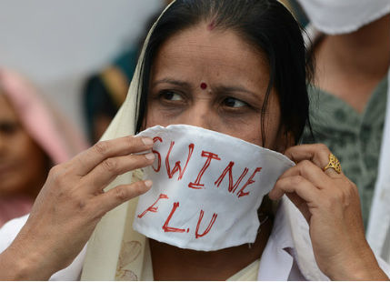 Swine flu in India