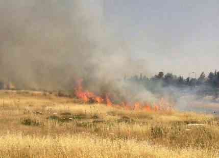 Heatwave triggers brush fire in Israel