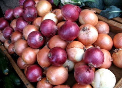 onion price rise
