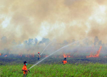 Indonesian Wildfires