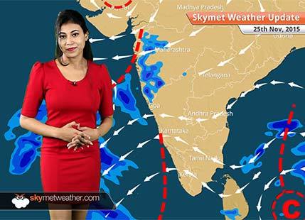 Weather Forecast for November 25: Rainfall in Tamil Nadu and Chennai reduces