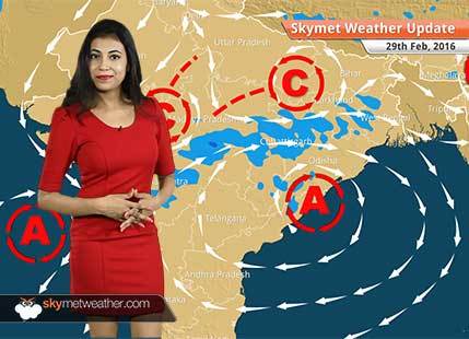 Weather Forecast for February 29: Rain and Hailstorm in Vidarbha, South Madhya Pradesh