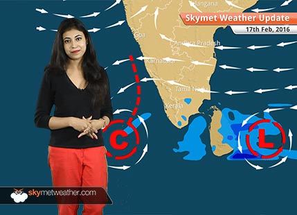 Weather Forecast for February 17: Rain in Madhya Pradesh, Rajasthan and Tamil Nadu