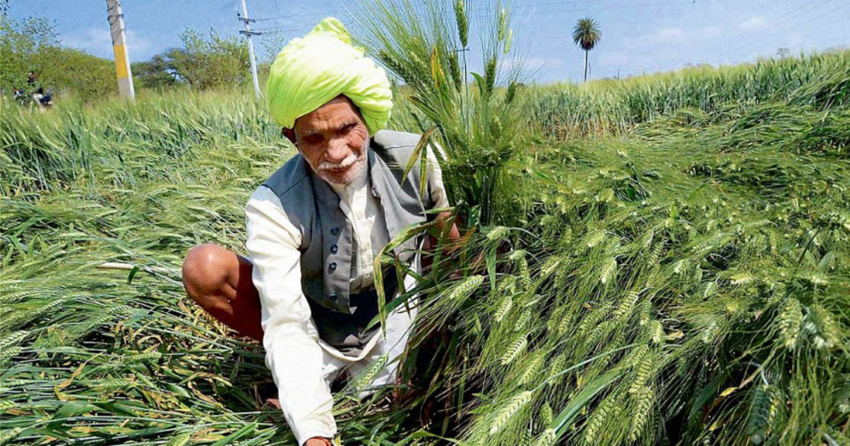 Crop damage in Punjab and Haryana