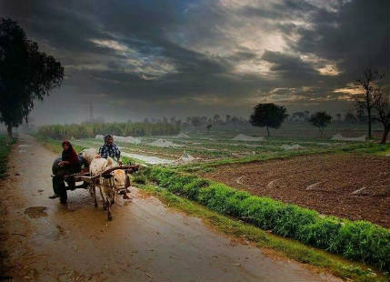 Punjab rains