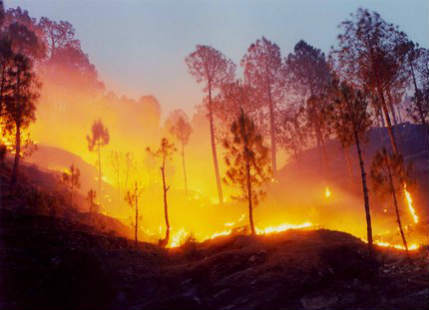 Forest fires wreak havoc over Uttarakhand
