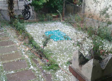 Hailstorm lashes Nashik, records highest rainfall in a decade