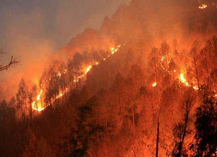 Uttarakhand Forest fires: Rains to usher in some relief