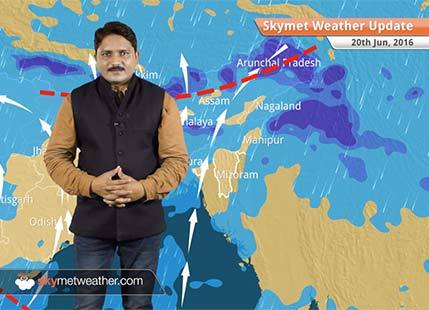 Weather Forecast for June 20: Monsoon rains Increase in Kerala, Karnataka, Goa and Central India