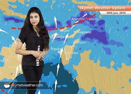 Weather Forecast for June 20: Monsoon rain increases in West Coast and Central India