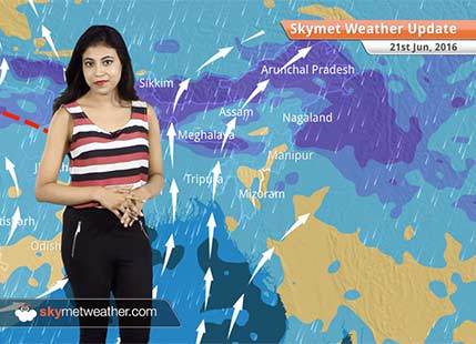 Weather Forecast for June 21: Thundershowers in Delhi-NCR; Monsoon rain in Mumbai, Chennai, Pune