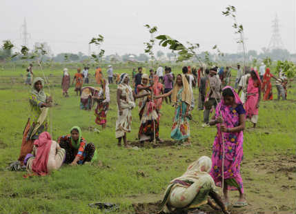 India makes record by planting 50 million trees