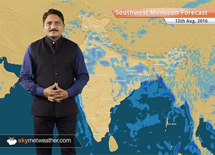 Monsoon 2016 Forecast for August 12: Jharkhand, Kolkata, Chhattisgarh to witness good Monsoon rains