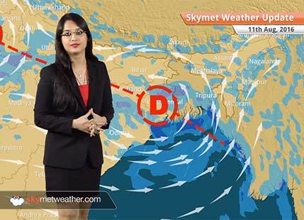 Weather Forecast for Aug 11: Heavy Monsoon rains in West Bengal, Jharkhand, Odisha, light rain in Delhi