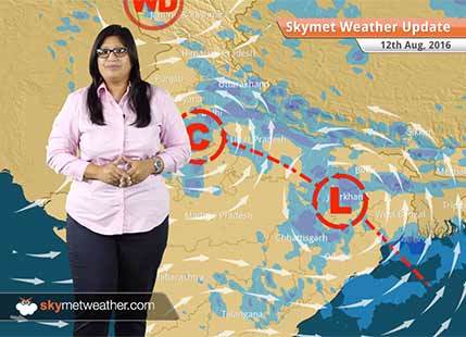 Weather Forecast for Aug 12: Heavy Monsoon rains in Chhattisgarh, Jharkhand, UP, light rain in Delhi