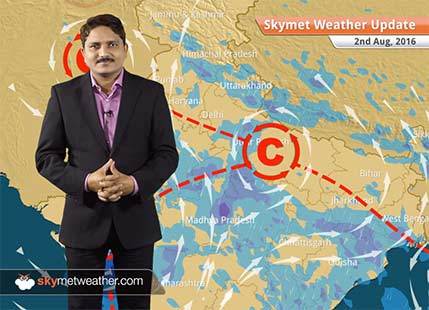 Weather Forecast for Aug 2: Monsoon active in Madhya Pradesh, Andhra Pradesh and Rajasthan