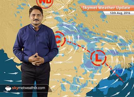Weather Forecast for Aug 12: Good rains in Rajasthan, UP, MP, Bihar, light rain in Delhi, Haryana