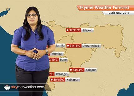 Weather Forecast for Maharashtra for Nov 25: Cold nights in Vidarbha, Madhya Maharashtra
