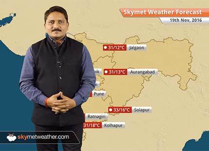 Weather Forecast for Maharashtra for Nov 19: Marginal fall in minimums over Vidarbha and Marathwada