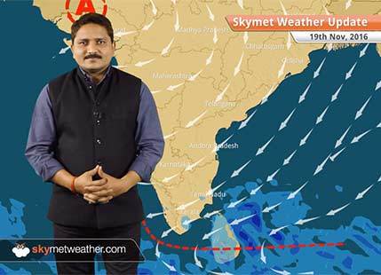 Weather Forecast for Nov 19: Scattered rain over Tamil Nadu, Kerala and Lakshadweep