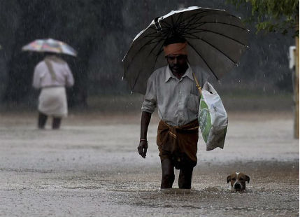 Tamil Nadu to witness rainy spell for next 24 hours