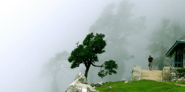 fog in northeast post