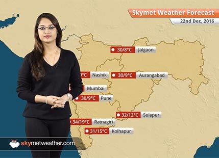 Weather Forecast for Maharashtra for Dec 22: Dry weather in Maharashtra, Cold nights in Vidarbha