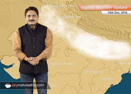Weather Forecast for Dec 14: Rain in Chennai, Bangalore, Fog in UP, Bihar, Delhi