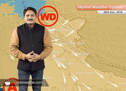Weather Forecast for Dec 28: Fog in Delhi, UP, Bihar; Rain in Chennai, TN