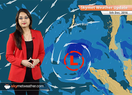Weather Forecast for Dec 5: Rain in TN, Kerala, Coastal Karnataka; Fog in UP, Bihar