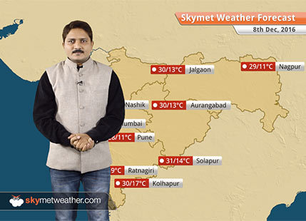 Weather Forecast for Maharashtra for Dec 8: Cool mornings in parts Vidarbha and Madhya Maharashtra