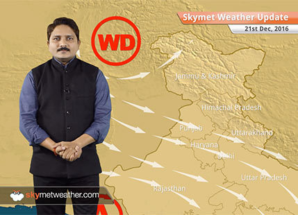 Weather Forecast for Dec 21: Fog in UP, Bihar, Delhi, Haryana; Rain in Tamil Nadu