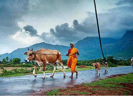 Monsoon-in-India