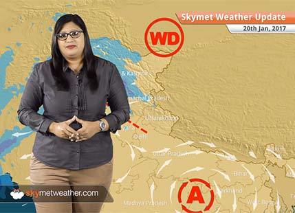 Weather Forecast for Jan 20: Cold weather in Delhi, Punjab, Haryana, Rain in South TN