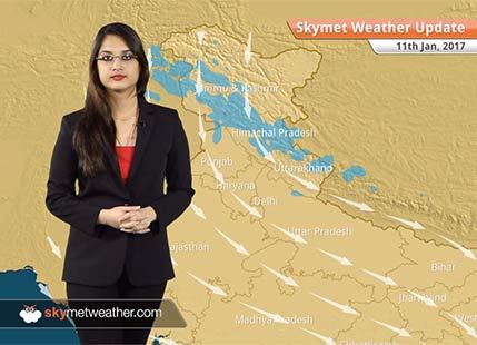 Weather Forecast for Jan 11: Cold wave conditions in Punjab, Rajasthan; Snow in Arunachal