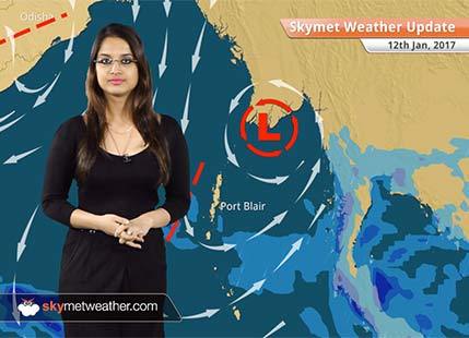 Weather Forecast for Jan 12: Cold wave to grip Punjab, Haryana, Rajasthan, Delhi