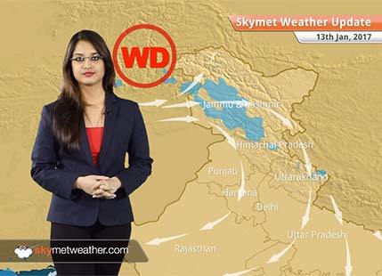 Weather Forecast for Jan 13: Snow in Kashmir; Cold wave to grip Punjab, Rajasthan, Delhi