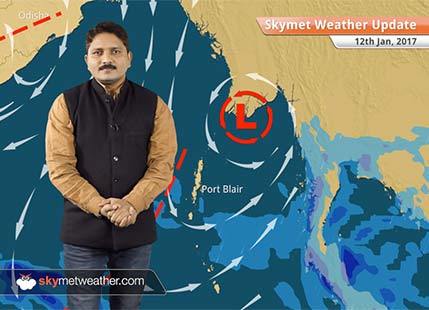 Weather Forecast for Jan 12: Minimums to drop in Punjab, Haryana, Rajasthan, Delhi, UP