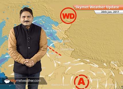 Weather Forecast for Jan 20: Cold weather in Haryana, Delhi, Punjab, Fog in North India