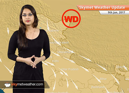 Weather Forecast for Jan 9: Fog in UP, Bihar; Minimums to drop over northern plains