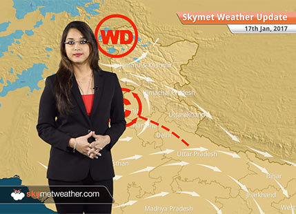 Weather Forecast for Jan 17: Snow in Kashmir, Himachal; Rain in Punjab, Haryana