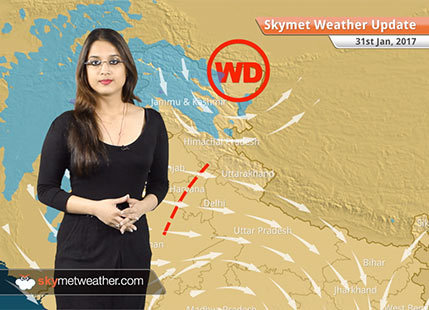 Weather Forecast for Jan 31: Fog in Punjab, Rajasthan, Delhi, UP; Rain in Kerala