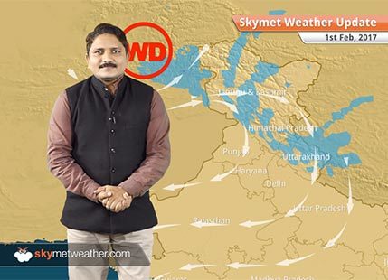 Weather Forecast for Feb 1: India to witness dry weather, moderate fog in Delhi, Haryana, Punjab, UP