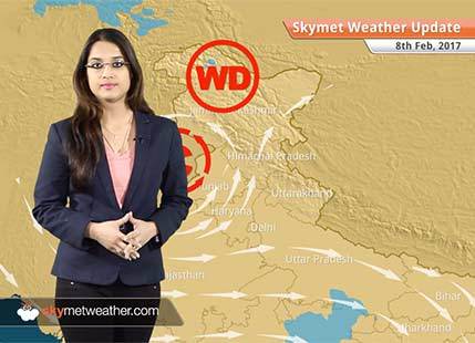 Weather Forecast for Feb 8: Snow in Kashmir, Himachal, Uttarakhand; Rain in Punjab