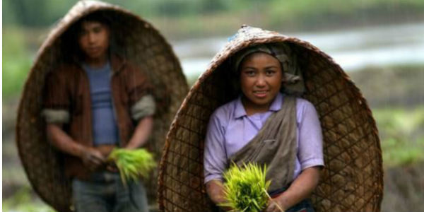 Rain in Northeast India